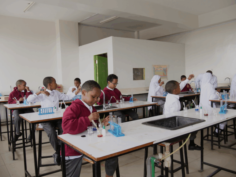 lab